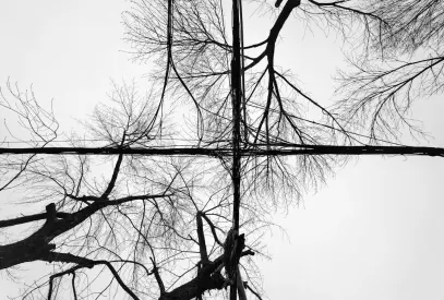 Billion Kazino Mobilā lietotne